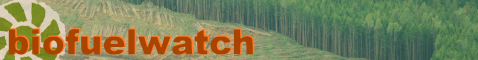 biofuelwatch banner