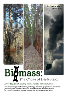 Biomass: The Chain of Destruction