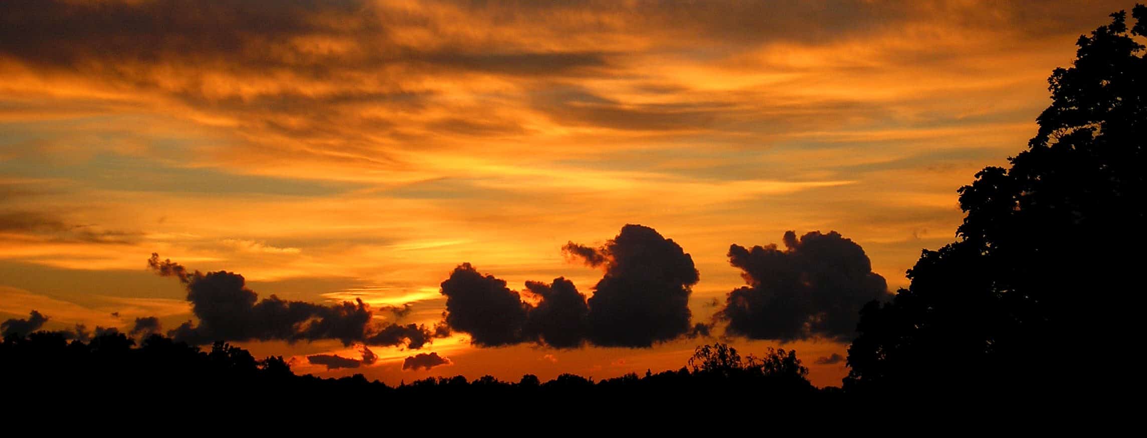 Negative Emissions Technologies: can they deliver?