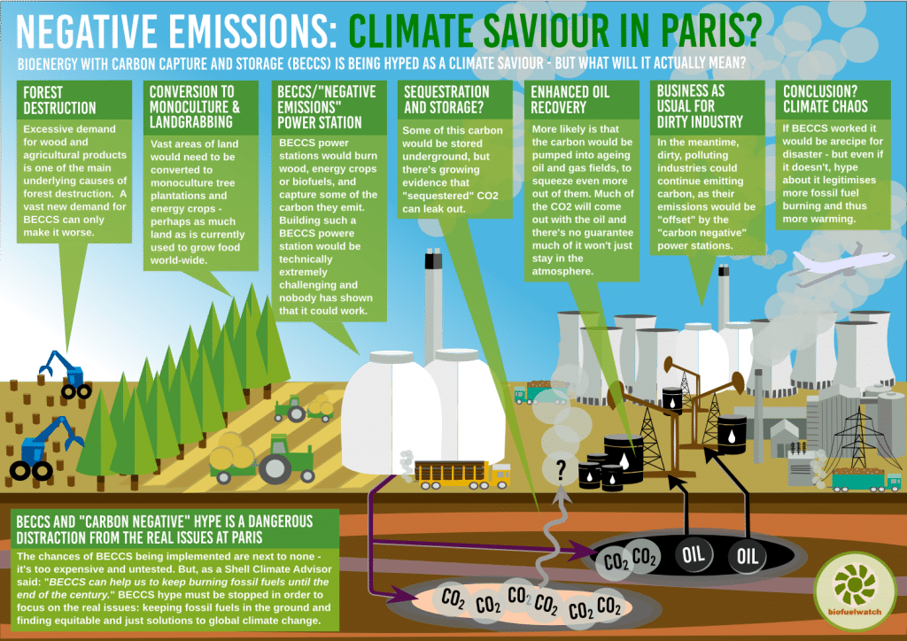 Last ditch climate option or wishful thinking? Bioenergy with Carbon ...