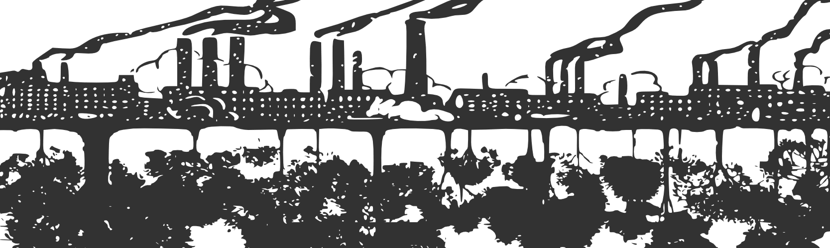 New summary BECCS report: Last ditch climate option or wishful thinking?