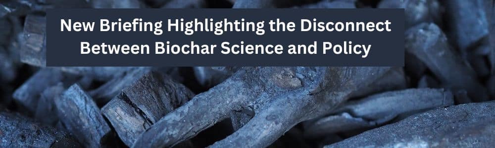 Biochar: A critical perspective