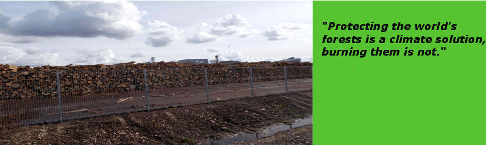 Over 120 groups from around the world denounce large scale forest biomass energy