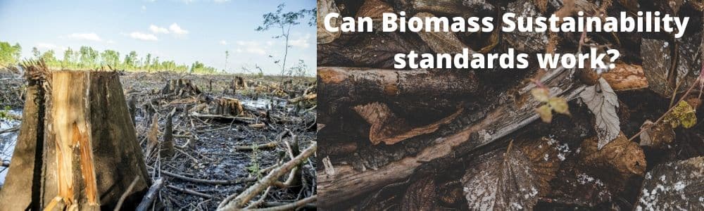 Biofuelwatch and Global Forest Coalition briefing about biomass sustainability standards