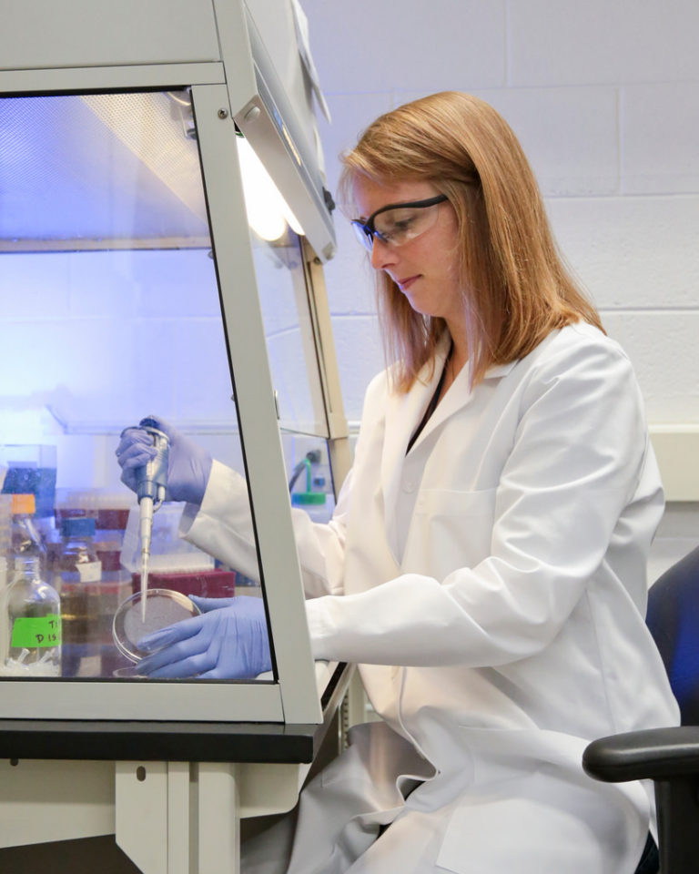 Synthetic Biology biofuelwatch