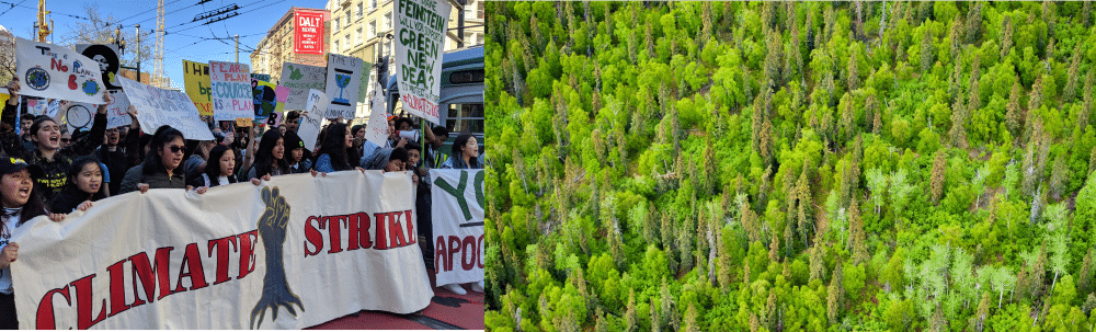 Biofuelwatch is delighted to support the Global Climate Strike on Friday 20th September