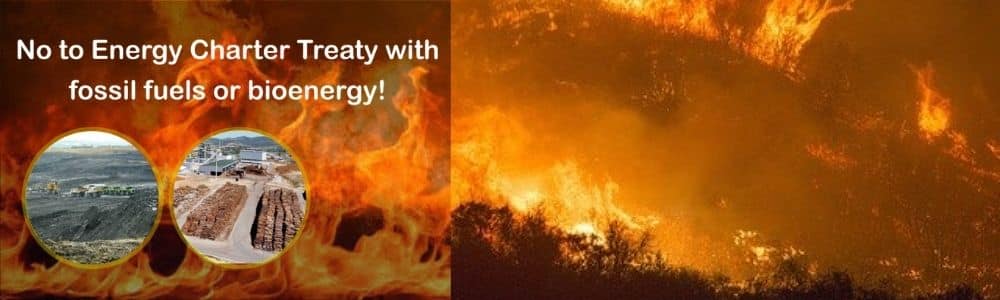 2-curioso-photography-QLOJS4bKNxg-unsplash_