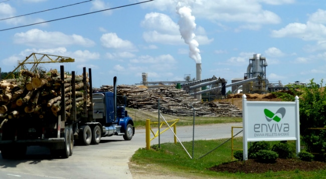 Whole logs used by Enviva to make pellets, many of which are burned by Drax in the UK, Photo: Dogwood Aliance