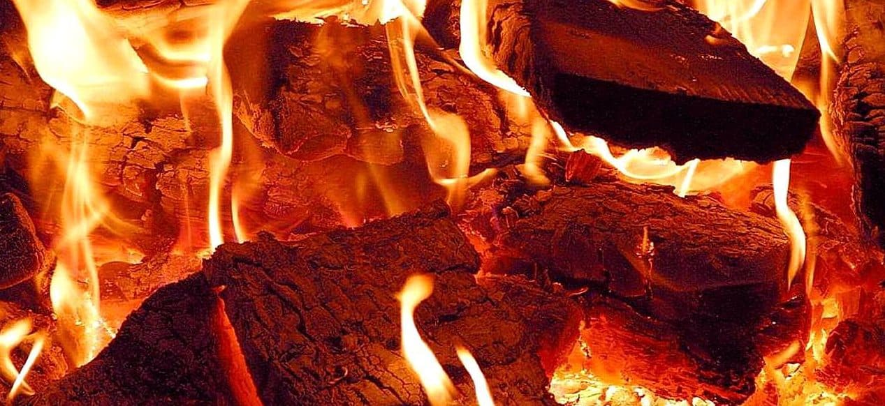 Environmental campaigners denounce new “subsidies for forest destruction and air pollution”