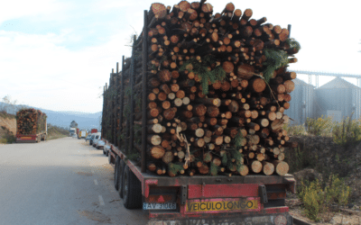 Report about the Green Gold Label biomass certification scheme