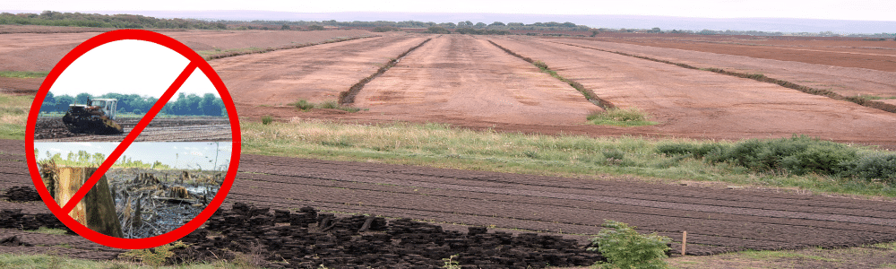Irish biomass plans for peat power stations “pose serious threat to our forests” US environmental groups warn