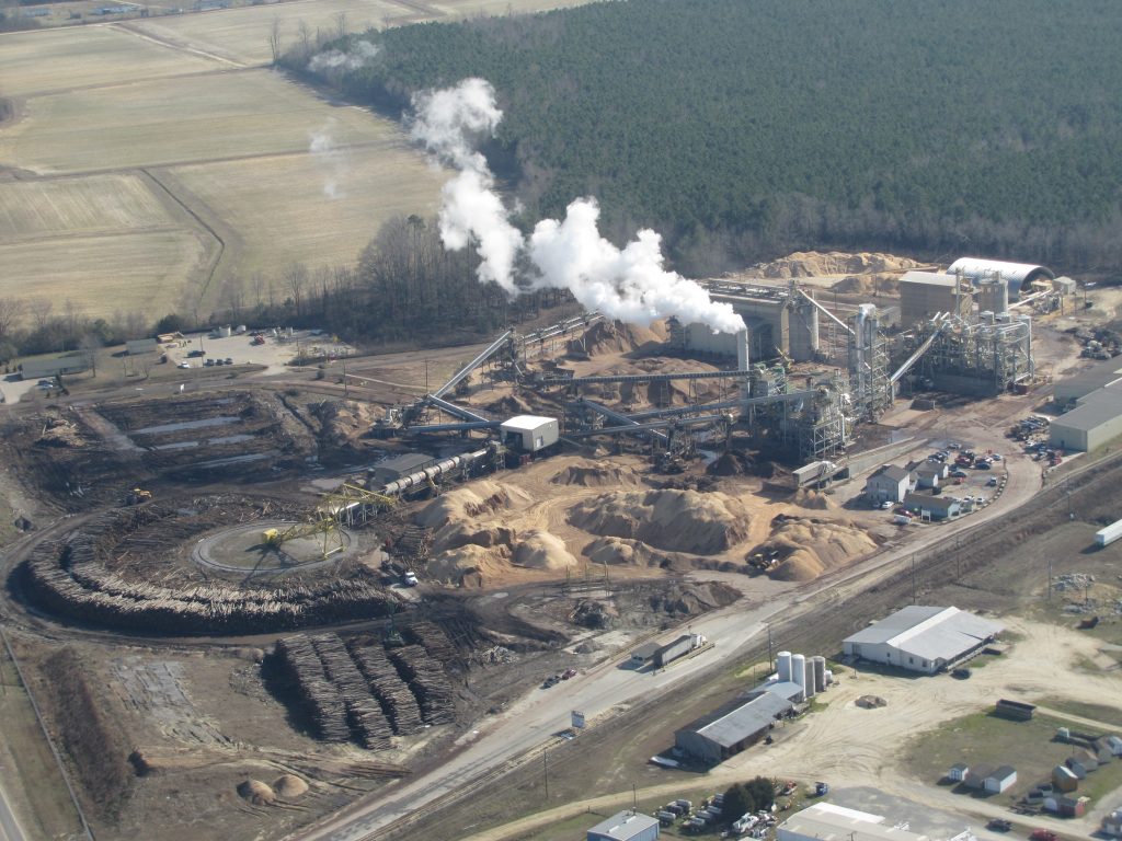 Pellets, Plantations and Deforestation biofuelwatch