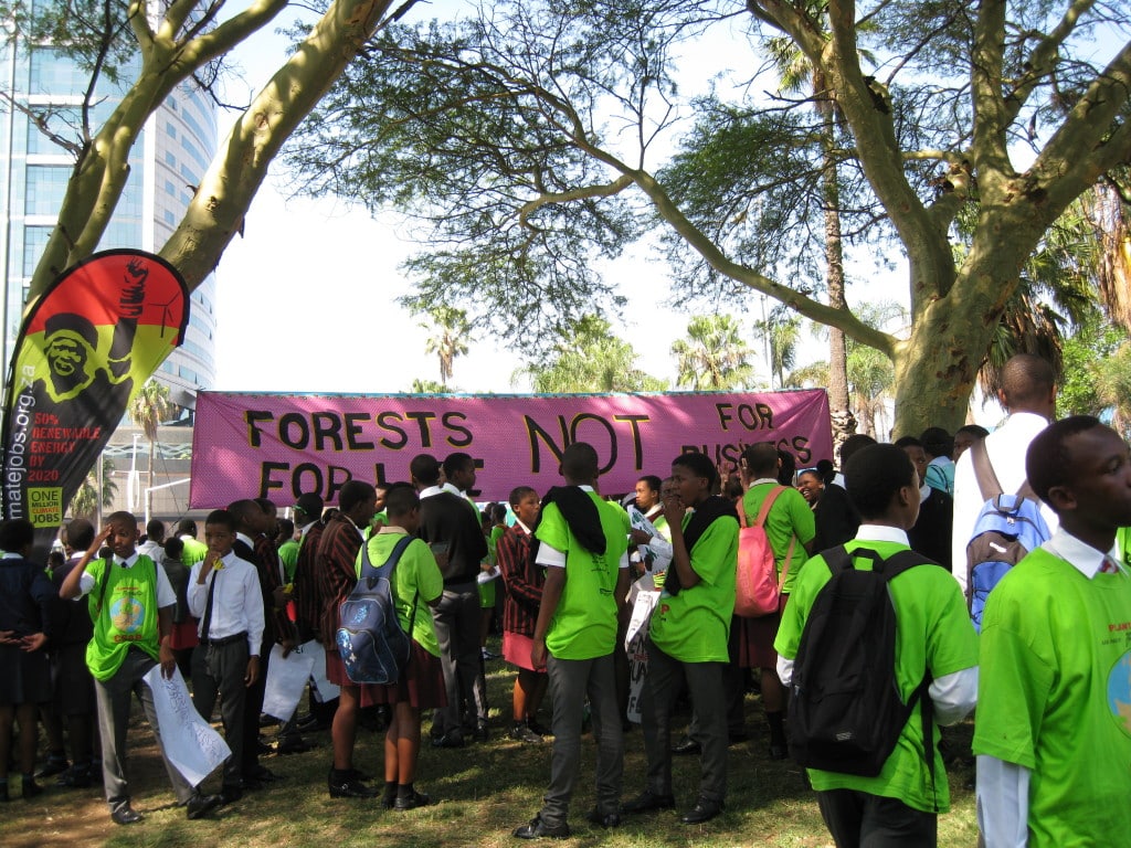Plantations are not Forests: Civil Society Demonstration Against World ...