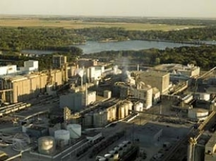 Briefing about Bioenergy with Carbon Capture and Storage (BECCS)