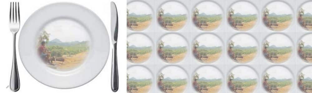 Swallowing Indonesia’s forests