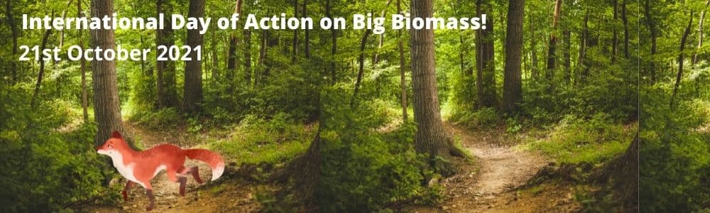 International Day of Action on Big Biomass!