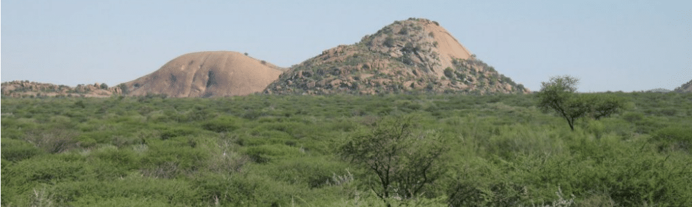 Report about Germany’s Bush Control and Biomass Utilisation Project in Namibia