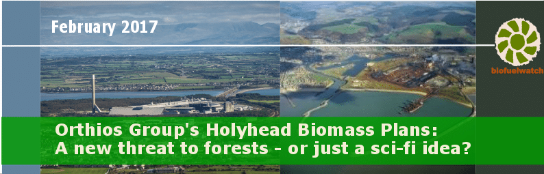 2-curioso-photography-QLOJS4bKNxg-unsplash_