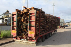 Logging truck gooing to Pinewells Pellet Plant, which supplies pellets to Drax