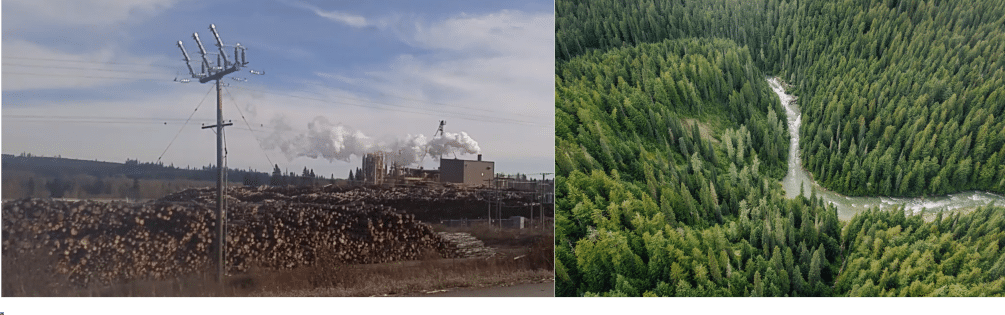 Joint Letter to Drax Shareholders warning against proposed acquisition of Pinnacle Renewable Energy Inc.