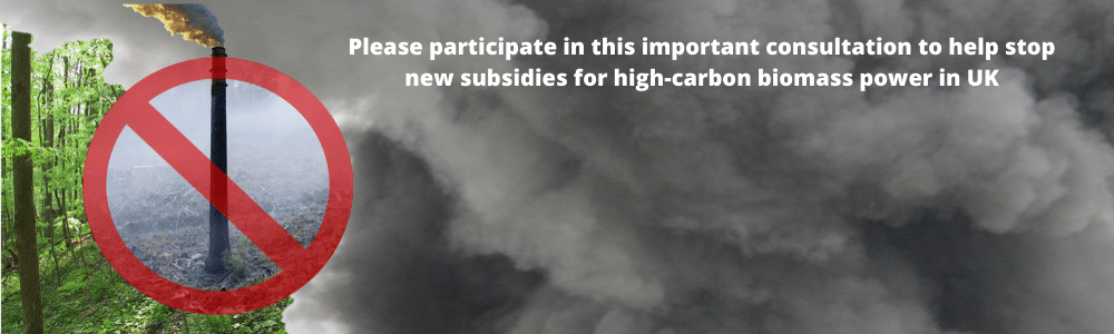 2-curioso-photography-QLOJS4bKNxg-unsplash_