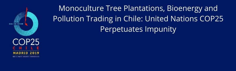 COP25 Is Perpetuating a Culture of Impunity for Human Rights Violations