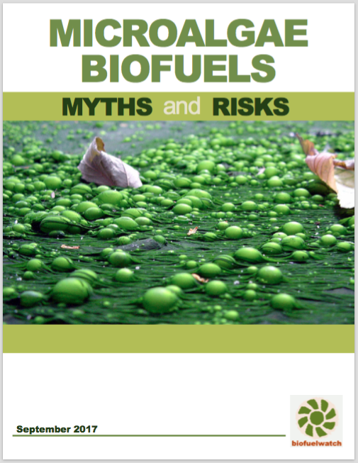 Biotechnology for Biofuels biofuelwatch