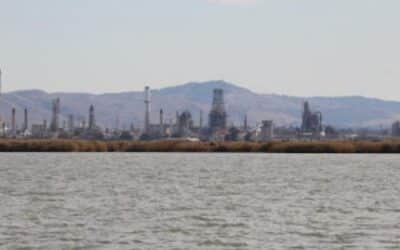 NESTE’s Biofuels: Don’t Ask Don’t Tell