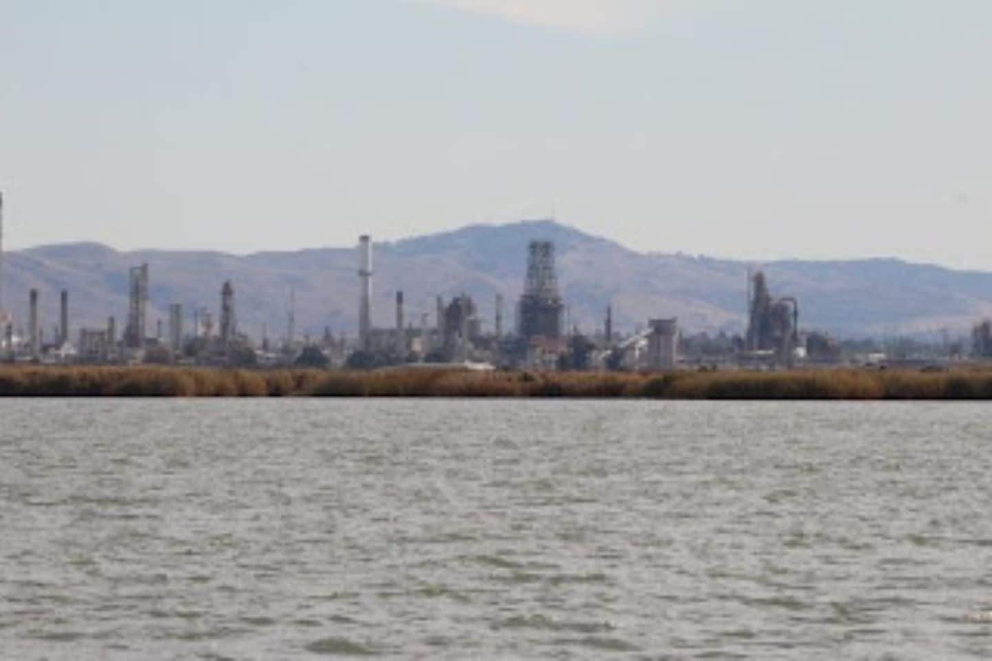 2-curioso-photography-QLOJS4bKNxg-unsplash_