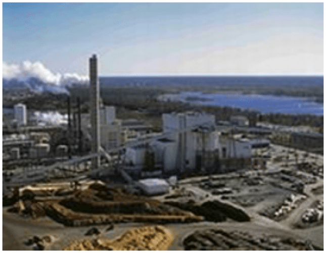 Biofuelwatch Comment on DECC’s Bioenergy Strategy 26 April