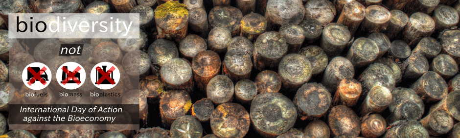 The Dark Side of the Bioeconomy: Climate Catastrophe, Forest Destruction, and Human Rights Abuses