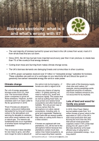 Biomass electricity
