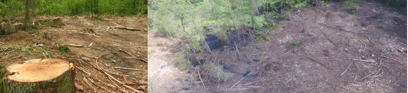 Is wood-based bioenergy climate friendly if it comes from residues?