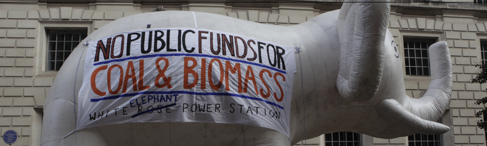 Giant White Elephant delivers over 110,000 signatures against White Rose