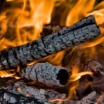 Wood Bioenergy: Green Land Grabs  For Dirty ‘Renewable’ Energy